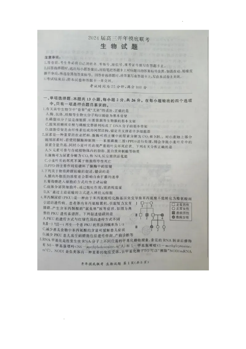 2024届河北省百师联盟高三下学期开学摸底联考生物试题_2024年3月_013月合集_2024届（新高考）百师联盟高三下学期开年摸底联考_百师联盟2024届高三下学期开年摸底联考（新高考）生物