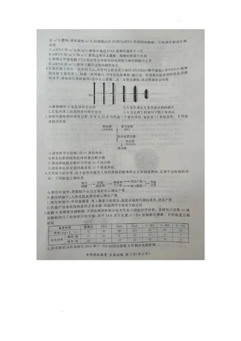 2024届河北省百师联盟高三下学期开学摸底联考生物试题_2024年3月_013月合集_2024届（新高考）百师联盟高三下学期开年摸底联考_百师联盟2024届高三下学期开年摸底联考（新高考）生物