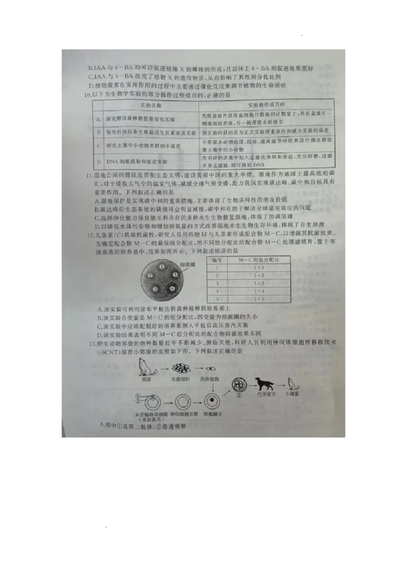 2024届河北省百师联盟高三下学期开学摸底联考生物试题_2024年3月_013月合集_2024届（新高考）百师联盟高三下学期开年摸底联考_百师联盟2024届高三下学期开年摸底联考（新高考）生物