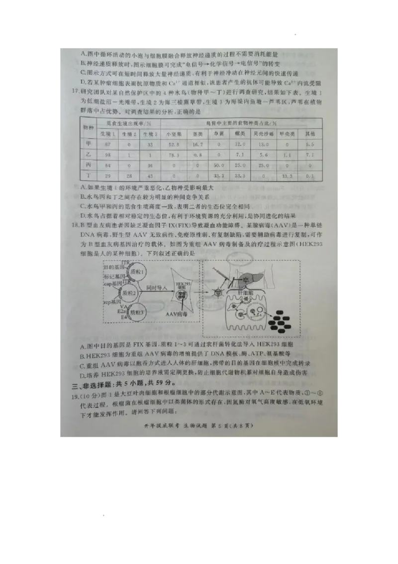 2024届河北省百师联盟高三下学期开学摸底联考生物试题_2024年3月_013月合集_2024届（新高考）百师联盟高三下学期开年摸底联考_百师联盟2024届高三下学期开年摸底联考（新高考）生物