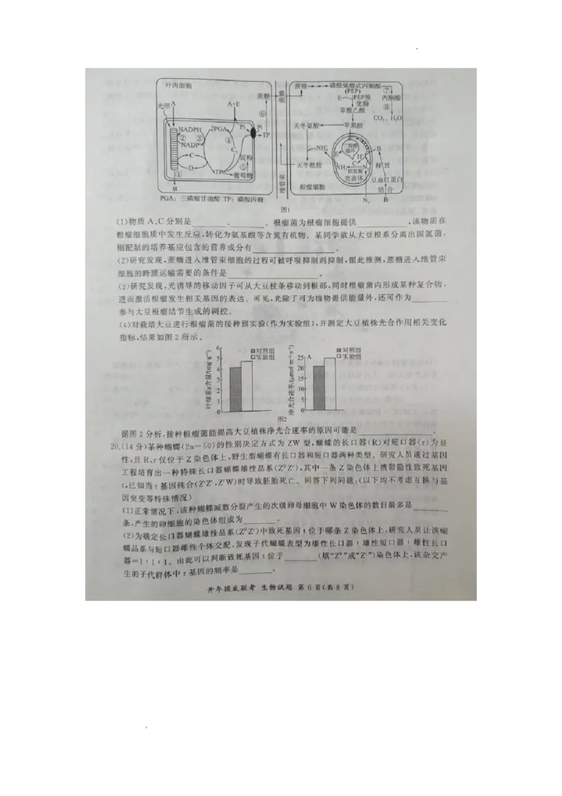 2024届河北省百师联盟高三下学期开学摸底联考生物试题_2024年3月_013月合集_2024届（新高考）百师联盟高三下学期开年摸底联考_百师联盟2024届高三下学期开年摸底联考（新高考）生物