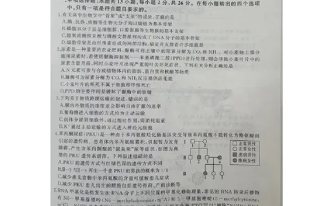 2024届河北省百师联盟高三下学期开学摸底联考生物试题_2024年3月_013月合集_2024届（新高考）百师联盟高三下学期开年摸底联考_百师联盟2024届高三下学期开年摸底联考（新高考）生物