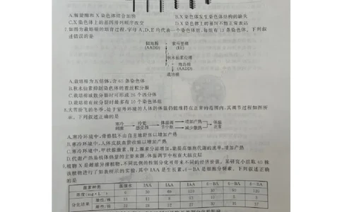 2024届河北省百师联盟高三下学期开学摸底联考生物试题_2024年3月_013月合集_2024届（新高考）百师联盟高三下学期开年摸底联考_百师联盟2024届高三下学期开年摸底联考（新高考）生物