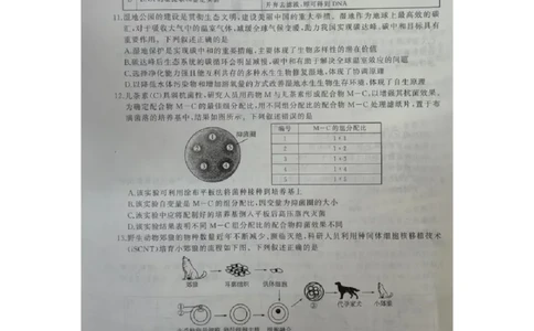2024届河北省百师联盟高三下学期开学摸底联考生物试题_2024年3月_013月合集_2024届（新高考）百师联盟高三下学期开年摸底联考_百师联盟2024届高三下学期开年摸底联考（新高考）生物