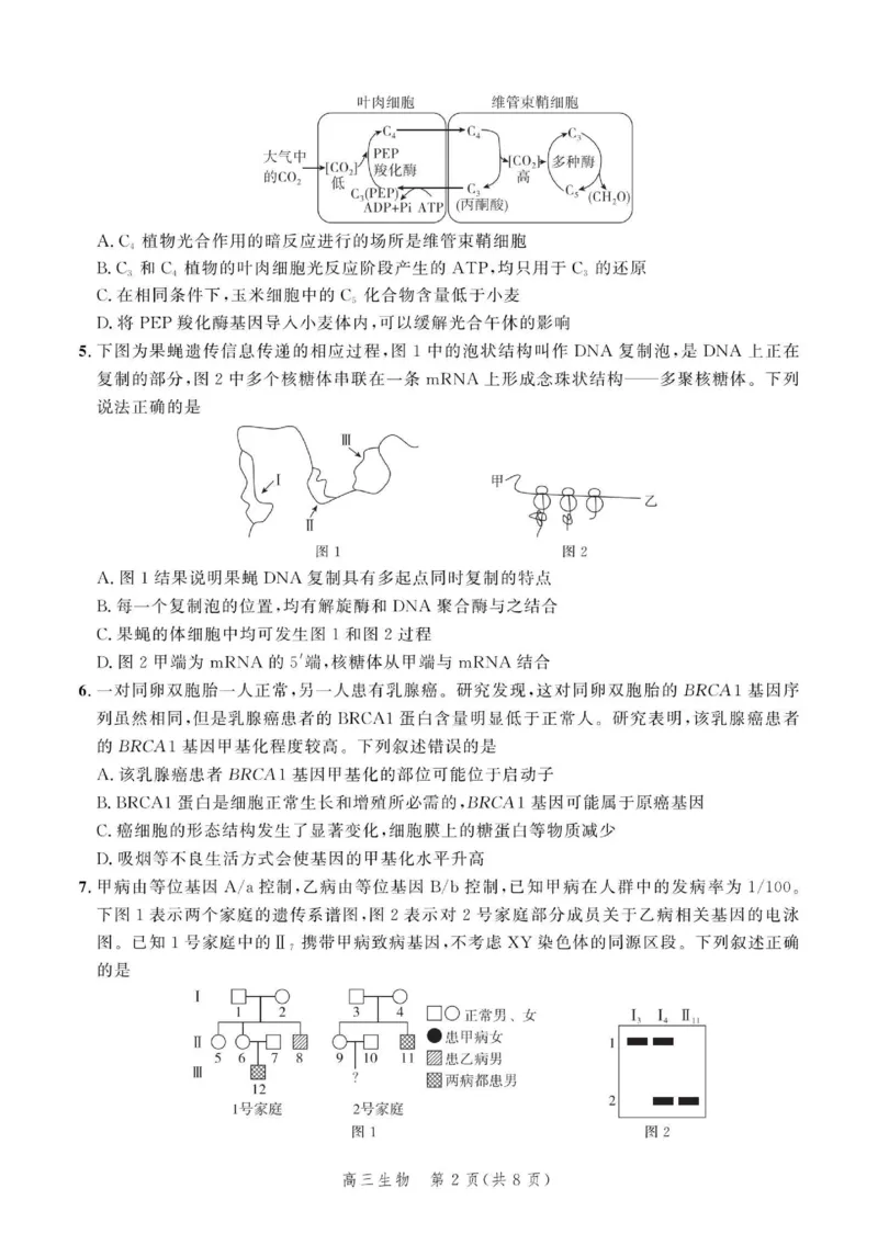 2024届河北省部分学校高三下学期大数据应用调研联合测评（六）生物试题_2024年4月_01按日期_6号_2024届河北省高三大数据应用调研联合测评（Ⅵ）