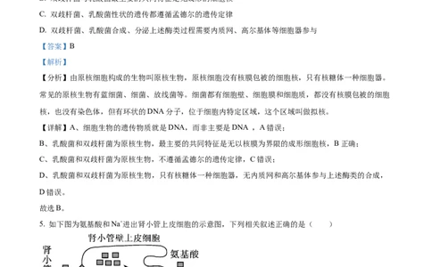精品解析：2024届四川省雅安市高三零诊考试生物试题（解析版）(1)_2023年10月_0210月合集_2024届四川省雅安市高三零诊考试_四川省雅安市高2024届高三零诊考试生物