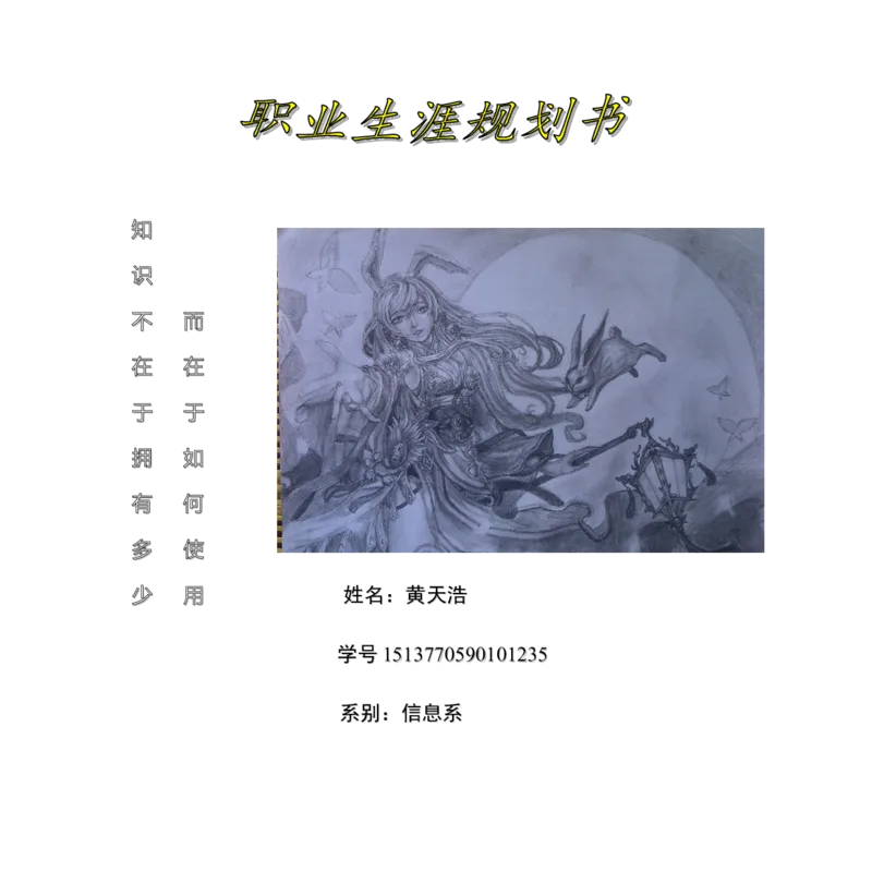 多媒体专业职业生涯规划书三十五_E6-职业规划_14多媒体专业