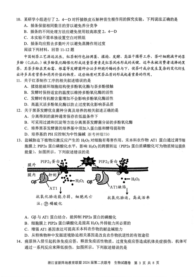 生物卷-2310新阵地联盟(1)_2023年10月_0210月合集_2024届浙江省新阵地教育联盟高三上学期第二次联考_浙江省新阵地教育联盟2024届高三上学期第二次联考生物
