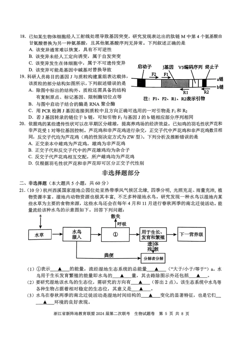 生物卷-2310新阵地联盟(1)_2023年10月_0210月合集_2024届浙江省新阵地教育联盟高三上学期第二次联考_浙江省新阵地教育联盟2024届高三上学期第二次联考生物