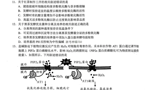 生物卷-2310新阵地联盟(1)_2023年10月_0210月合集_2024届浙江省新阵地教育联盟高三上学期第二次联考_浙江省新阵地教育联盟2024届高三上学期第二次联考生物