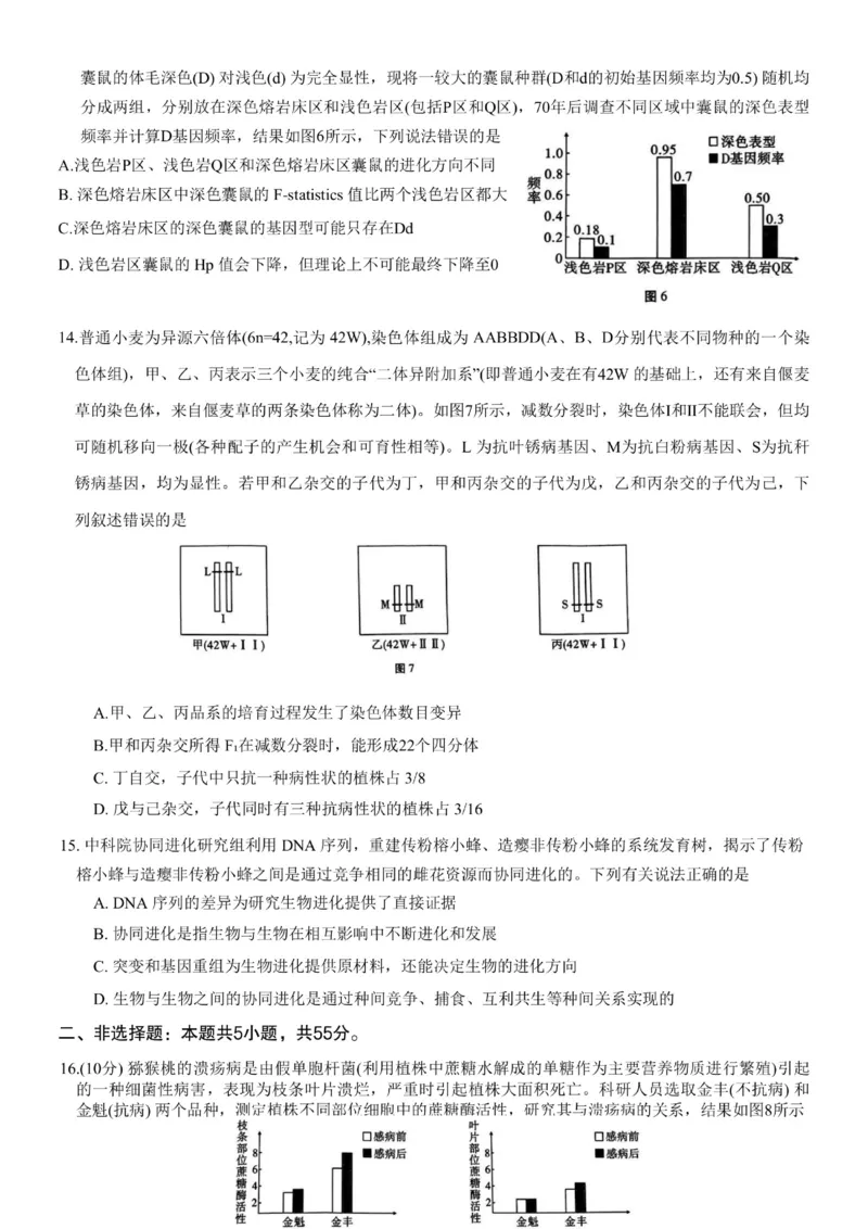 重庆市第八中学2024届高考适应性月考卷（一）生物试题(1)_2023年10月_0210月合集_2024届重庆市第八中学高考适应性月考卷（一）_重庆市第八中学2024届高考适应性月考卷（一）生物