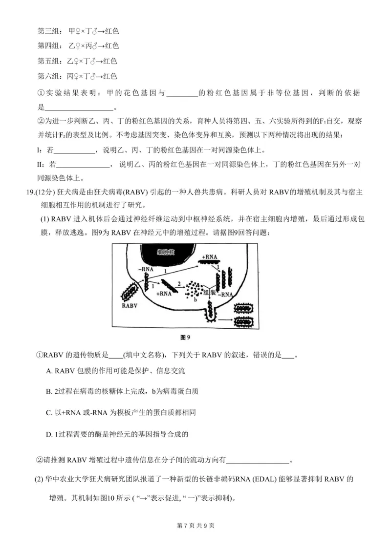 重庆市第八中学2024届高考适应性月考卷（一）生物试题(1)_2023年10月_0210月合集_2024届重庆市第八中学高考适应性月考卷（一）_重庆市第八中学2024届高考适应性月考卷（一）生物