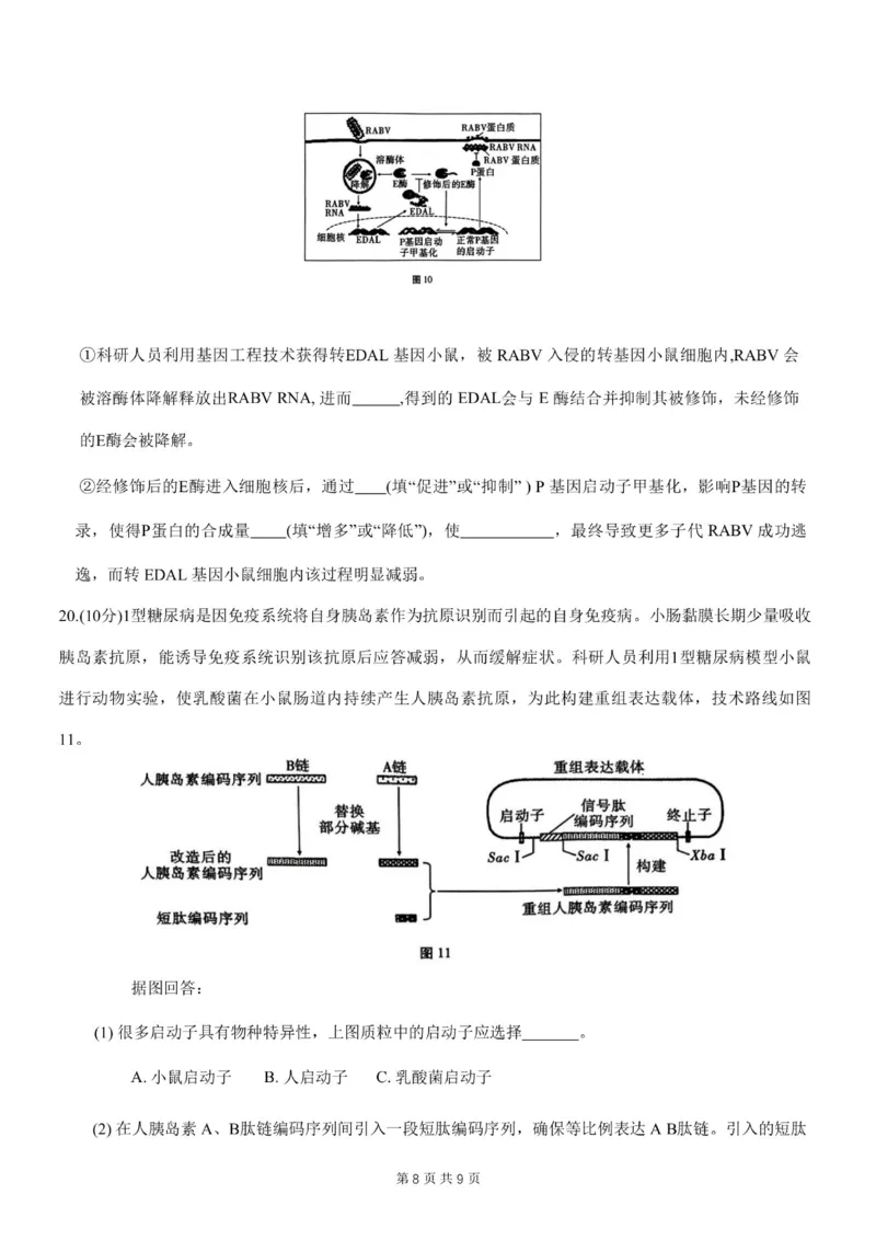 重庆市第八中学2024届高考适应性月考卷（一）生物试题(1)_2023年10月_0210月合集_2024届重庆市第八中学高考适应性月考卷（一）_重庆市第八中学2024届高考适应性月考卷（一）生物