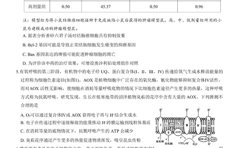 重庆市第八中学2024届高考适应性月考卷（一）生物试题(1)_2023年10月_0210月合集_2024届重庆市第八中学高考适应性月考卷（一）_重庆市第八中学2024届高考适应性月考卷（一）生物
