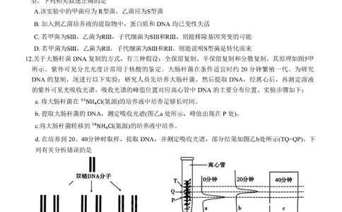 重庆市第八中学2024届高考适应性月考卷（一）生物试题(1)_2023年10月_0210月合集_2024届重庆市第八中学高考适应性月考卷（一）_重庆市第八中学2024届高考适应性月考卷（一）生物