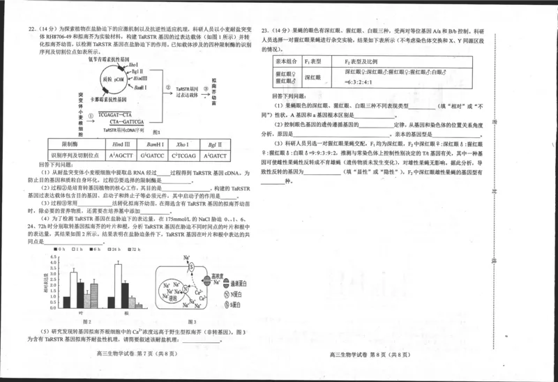 河北省唐山市2023-2024学年高三上学期摸底演练生物试题_2023年9月_01每日更新_15号_2024届河北省唐山市高三上学期摸底演练_河北省唐山市2024届高三上学期摸底演练生物