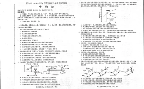 河北省唐山市2023-2024学年高三上学期摸底演练生物试题_2023年9月_01每日更新_15号_2024届河北省唐山市高三上学期摸底演练_河北省唐山市2024届高三上学期摸底演练生物