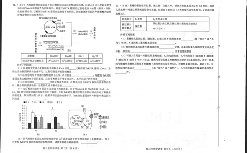 河北省唐山市2023-2024学年高三上学期摸底演练生物试题_2023年9月_01每日更新_15号_2024届河北省唐山市高三上学期摸底演练_河北省唐山市2024届高三上学期摸底演练生物