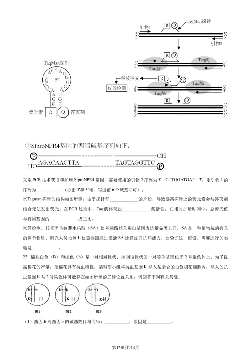 精品解析：江苏省南通市海安市海安市实验中学2023-2024学年高三10月月考生物试题（原卷版）(1)_2023年10月_0210月合集_2024届江苏省海安市实验中学高三上学期10月月考