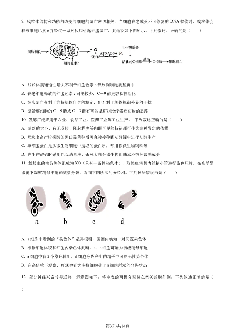 精品解析：江苏省南通市海安市海安市实验中学2023-2024学年高三10月月考生物试题（原卷版）(1)_2023年10月_0210月合集_2024届江苏省海安市实验中学高三上学期10月月考