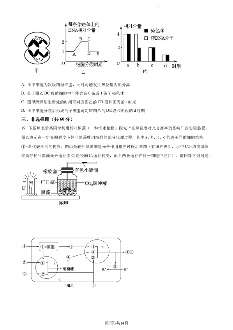 精品解析：江苏省南通市海安市海安市实验中学2023-2024学年高三10月月考生物试题（原卷版）(1)_2023年10月_0210月合集_2024届江苏省海安市实验中学高三上学期10月月考