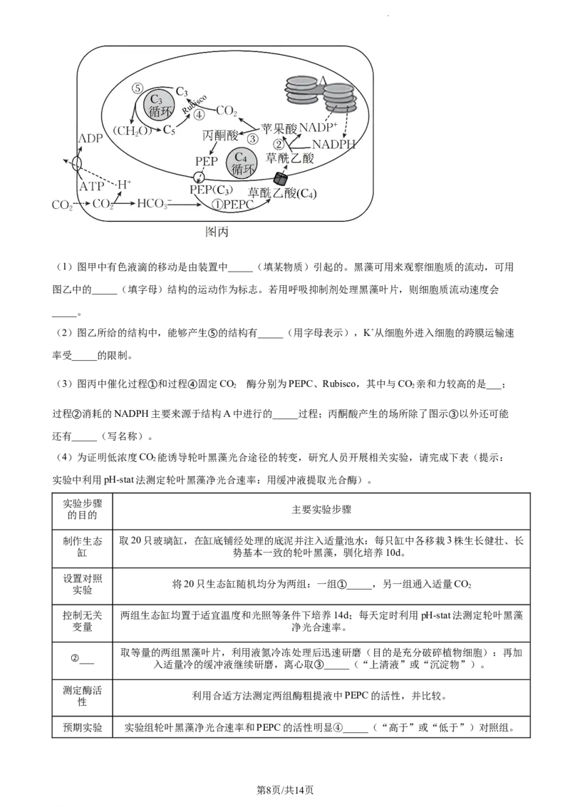精品解析：江苏省南通市海安市海安市实验中学2023-2024学年高三10月月考生物试题（原卷版）(1)_2023年10月_0210月合集_2024届江苏省海安市实验中学高三上学期10月月考