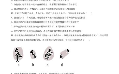 精品解析：江苏省南通市海安市海安市实验中学2023-2024学年高三10月月考生物试题（原卷版）(1)_2023年10月_0210月合集_2024届江苏省海安市实验中学高三上学期10月月考