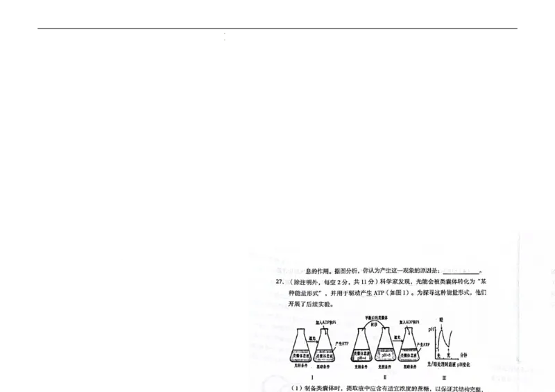 生物(1)_2023年10月_0210月合集_2024届云南省高三上学期10月第一次质量检测_云南省2024届高三上学期10月第一次质量检测生物