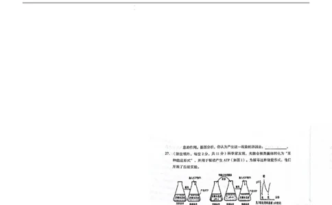 生物(1)_2023年10月_0210月合集_2024届云南省高三上学期10月第一次质量检测_云南省2024届高三上学期10月第一次质量检测生物