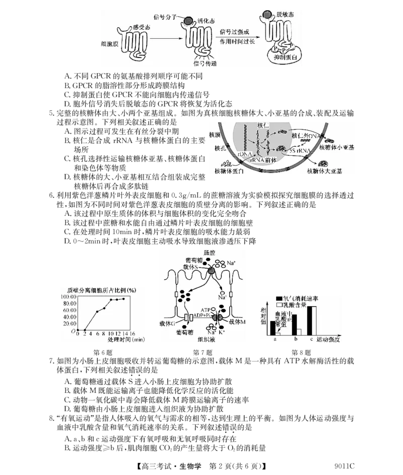黑龙江省牡丹江市第二高级中学2023-2024学年高三上学期第二次阶段性考试生物(1)_2023年10月_01每日更新_22号_2024届黑龙江省牡丹江市第二高级中学高三上学期第二次阶段性考试