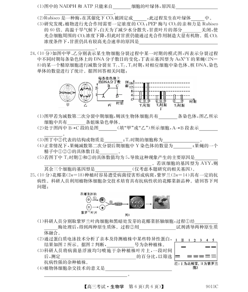 黑龙江省牡丹江市第二高级中学2023-2024学年高三上学期第二次阶段性考试生物(1)_2023年10月_01每日更新_22号_2024届黑龙江省牡丹江市第二高级中学高三上学期第二次阶段性考试