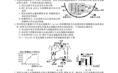 黑龙江省牡丹江市第二高级中学2023-2024学年高三上学期第二次阶段性考试生物(1)_2023年10月_01每日更新_22号_2024届黑龙江省牡丹江市第二高级中学高三上学期第二次阶段性考试