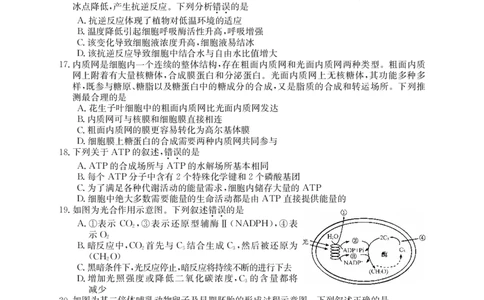 黑龙江省牡丹江市第二高级中学2023-2024学年高三上学期第二次阶段性考试生物(1)_2023年10月_01每日更新_22号_2024届黑龙江省牡丹江市第二高级中学高三上学期第二次阶段性考试