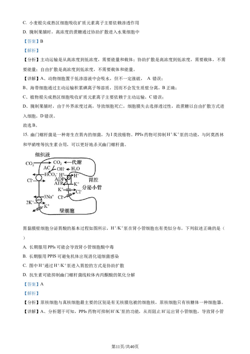 精品解析：四川省成都市石室中学2023-2024学年高三上学期开学生物试题（解析版）_2023年9月_01每日更新_3号_2024届四川省成都市石室中学高三上学期开学考试