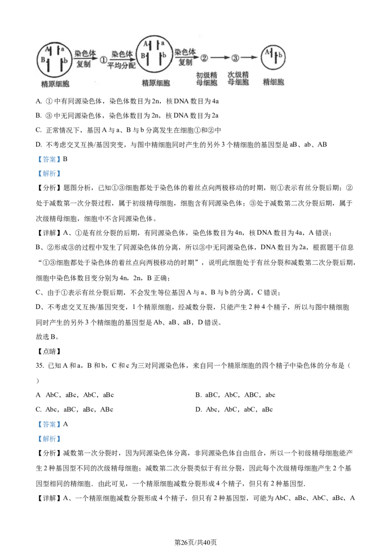 精品解析：四川省成都市石室中学2023-2024学年高三上学期开学生物试题（解析版）_2023年9月_01每日更新_3号_2024届四川省成都市石室中学高三上学期开学考试