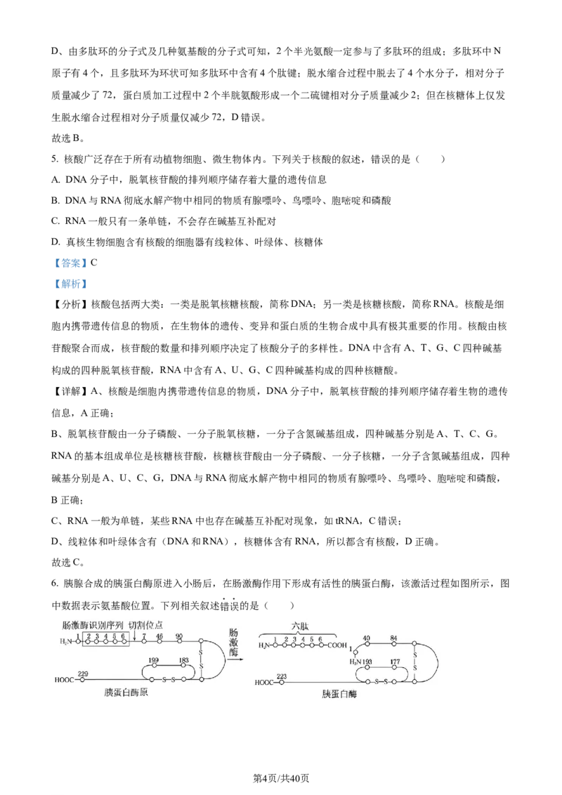 精品解析：四川省成都市石室中学2023-2024学年高三上学期开学生物试题（解析版）_2023年9月_01每日更新_3号_2024届四川省成都市石室中学高三上学期开学考试