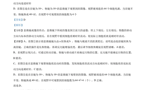 精品解析：四川省成都市石室中学2023-2024学年高三上学期开学生物试题（解析版）_2023年9月_01每日更新_3号_2024届四川省成都市石室中学高三上学期开学考试