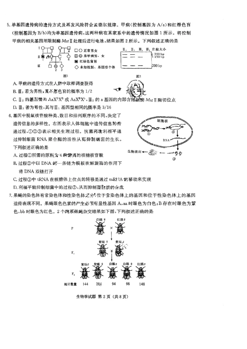 湖南省名校联考联合体2024届高三上学期第二次联考生物(1)_2023年9月_029月合集_2024届湖南炎德英才名校联考联合体高三上学期第二次联考