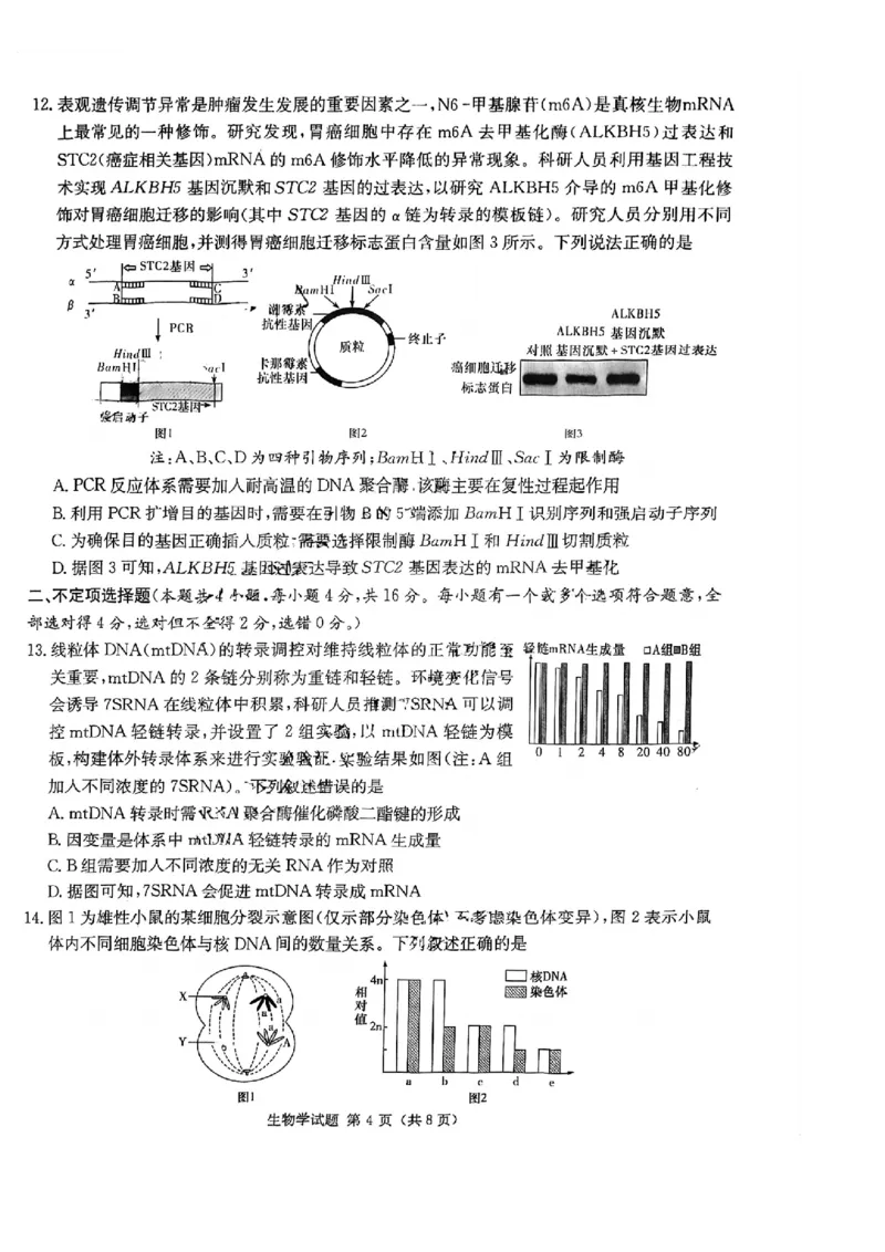湖南省名校联考联合体2024届高三上学期第二次联考生物(1)_2023年9月_029月合集_2024届湖南炎德英才名校联考联合体高三上学期第二次联考