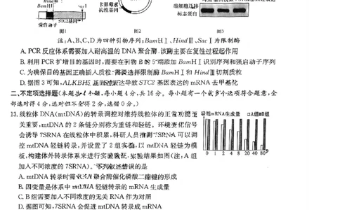 湖南省名校联考联合体2024届高三上学期第二次联考生物(1)_2023年9月_029月合集_2024届湖南炎德英才名校联考联合体高三上学期第二次联考