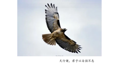 大学职业生涯规划_E6-职业规划_87模具制造