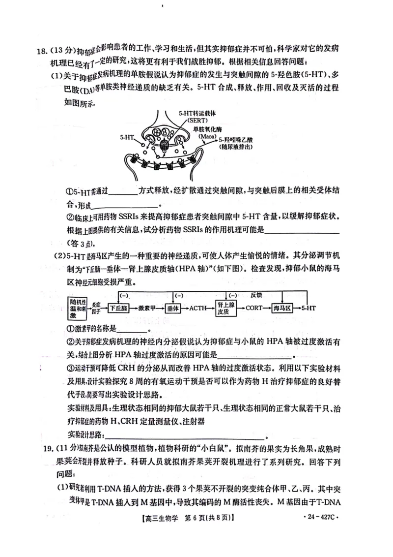 2024届广西高三4月多市联考(金太阳24-427C)生物试卷(1)_2024年4月_024月合集_2024届广西高三4月多市联考(金太阳24-427C)