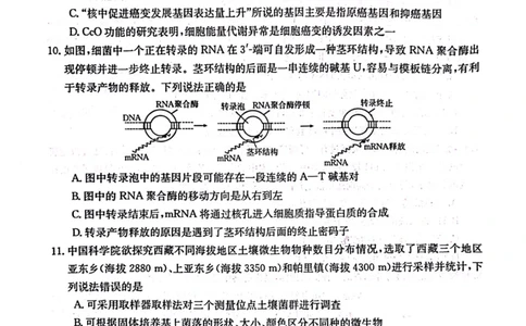 2024届广西高三4月多市联考(金太阳24-427C)生物试卷(1)_2024年4月_024月合集_2024届广西高三4月多市联考(金太阳24-427C)