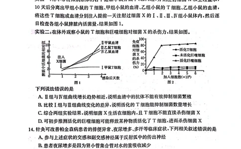 2024届广西高三4月多市联考(金太阳24-427C)生物试卷(1)_2024年4月_024月合集_2024届广西高三4月多市联考(金太阳24-427C)