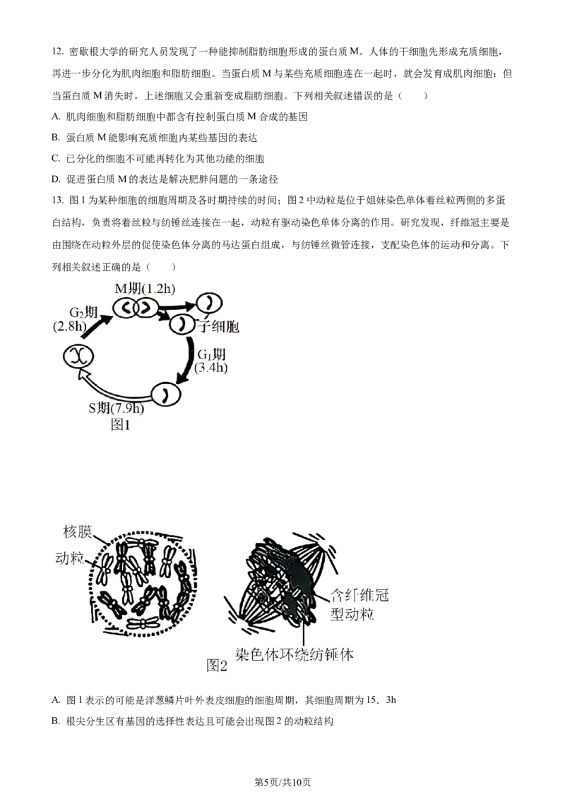 精品解析：湖北省重点高中智学联盟2023-2024学年高三10月联考生物试题（原卷版）(1)_2023年10月_0210月合集_2024届湖北省重点高中智学联盟高三上学期10月联考