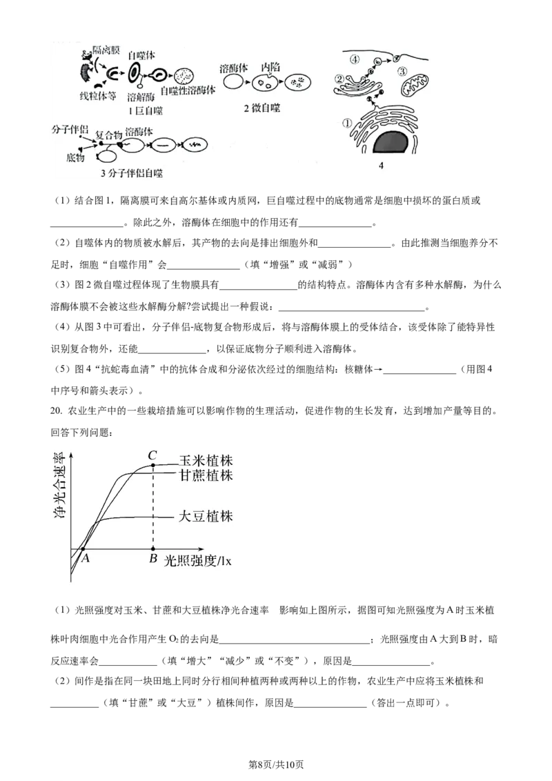 精品解析：湖北省重点高中智学联盟2023-2024学年高三10月联考生物试题（原卷版）(1)_2023年10月_0210月合集_2024届湖北省重点高中智学联盟高三上学期10月联考