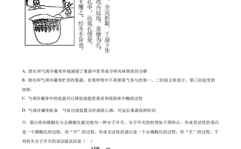 精品解析：湖北省重点高中智学联盟2023-2024学年高三10月联考生物试题（原卷版）(1)_2023年10月_0210月合集_2024届湖北省重点高中智学联盟高三上学期10月联考