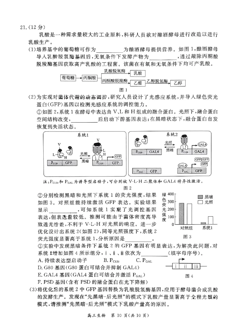 2024北京东城高三二模生物试题及答案(1)_2024年5月_025月合集_2024届北京东城区高三二模