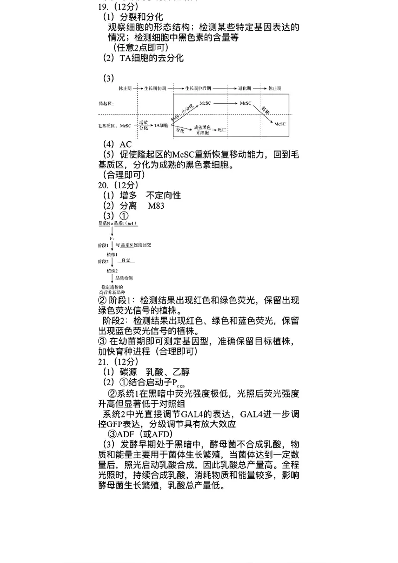 2024北京东城高三二模生物试题及答案(1)_2024年5月_025月合集_2024届北京东城区高三二模