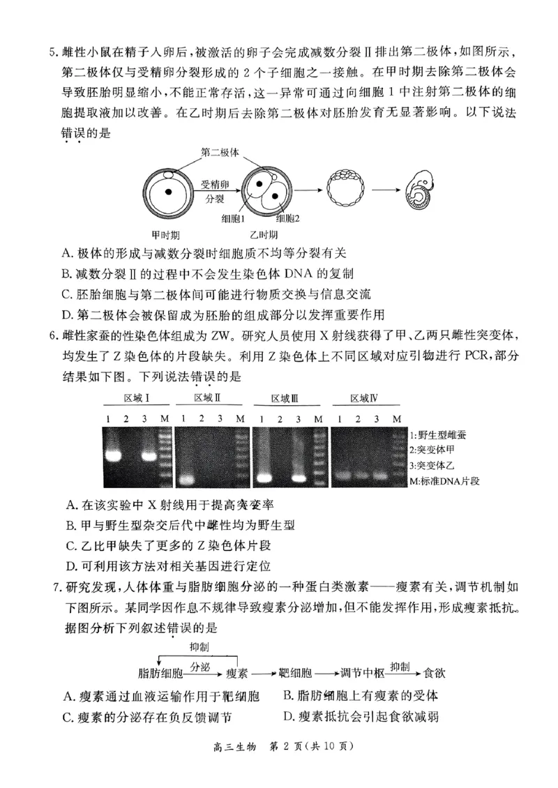 2024北京东城高三二模生物试题及答案(1)_2024年5月_025月合集_2024届北京东城区高三二模